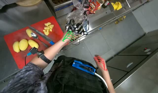 Preparing frozen fries for frying: egocentric robotics sample