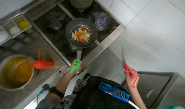 Cooking vegetables in pan: egocentric robotics sample