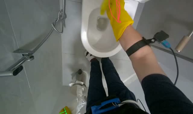Cleaning toilet bowl: egocentric robotics sample
