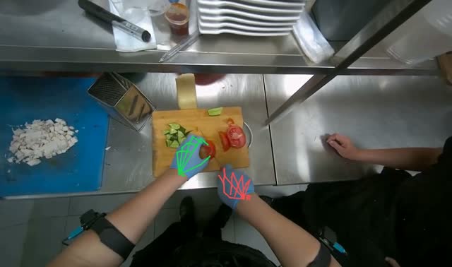 Chopping tomato: egocentric robotics sample