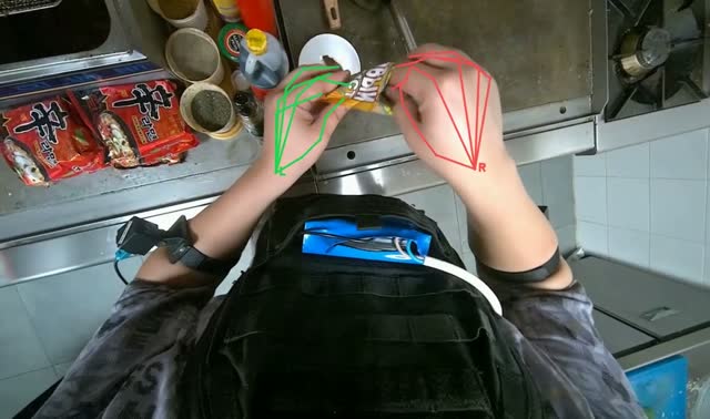 Adding seasoning to pot: egocentric robotics sample