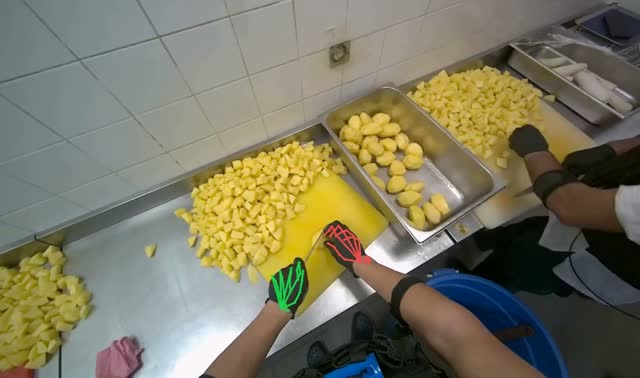 Cutting potatoes into pieces: egocentric robotics sample