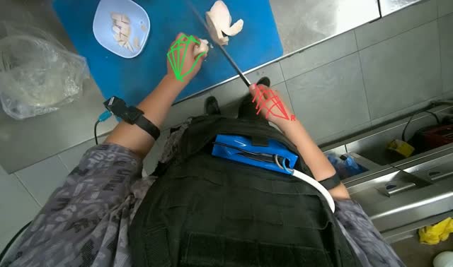 Cutting meat into pieces: egocentric robotics sample