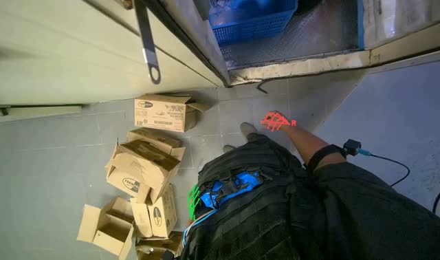 Processing cardboard boxes: egocentric robotics sample