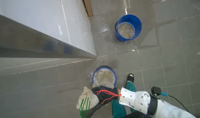 Wringing out mop cloth: egocentric robotics sample