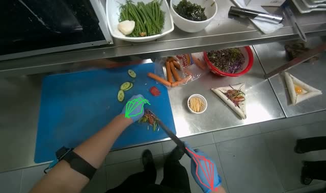 Preparing and filling tortillas: egocentric robotics sample