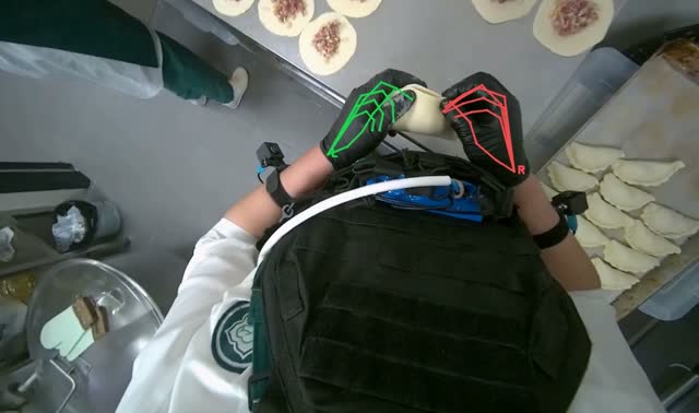 Folding meat-filled dough into dumplings: egocentric robotics sample