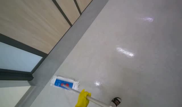 Mopping hallway floor: egocentric robotics sample