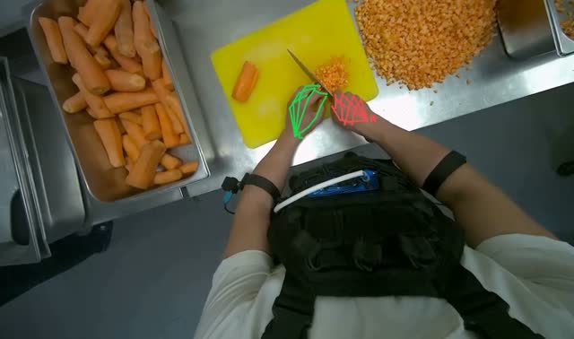 Cutting carrots on a board: egocentric robotics sample