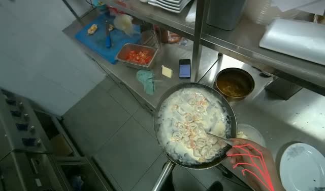 Plating dumplings into: egocentric robotics sample