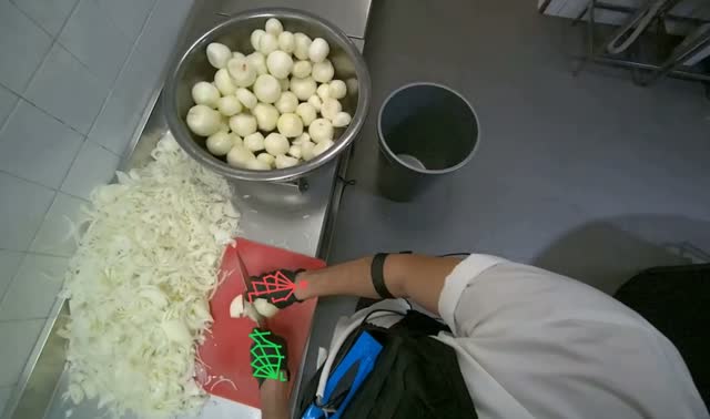 Slicing onions on cutting board: egocentric robotics sample