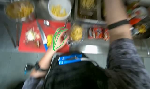 Loading french fries into deep fryer: egocentric robotics sample