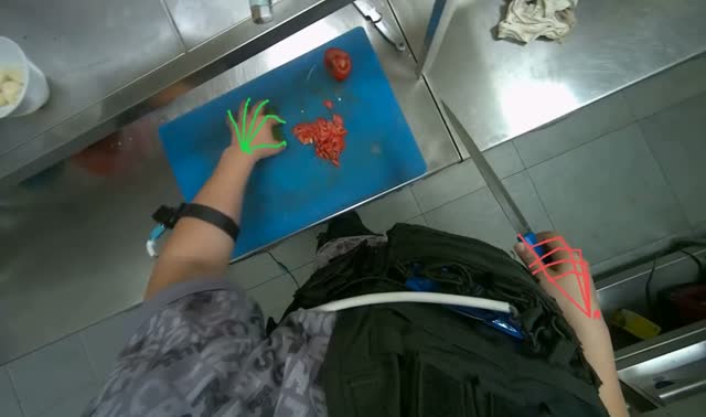 Slicing tomatoes on cutting board: egocentric robotics sample