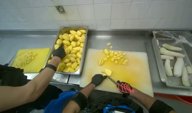 Cutting potatoes into pieces: egocentric robotics sample