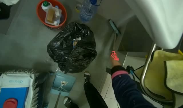Sweeping debris into dustpan: egocentric robotics sample