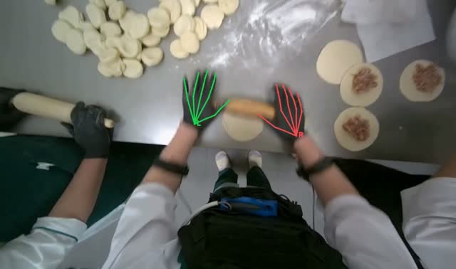 Rolling dough circles: egocentric robotics sample
