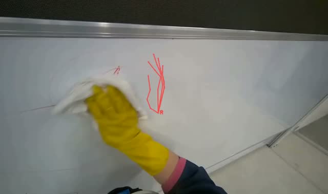 Cleaning whiteboard: egocentric robotics sample