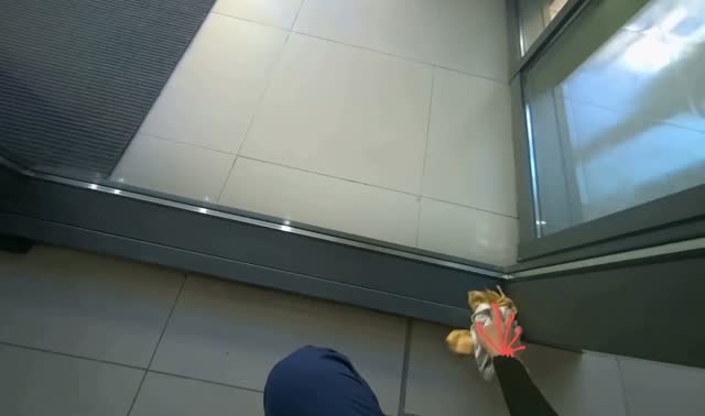 Wiping glass door frames: egocentric robotics sample