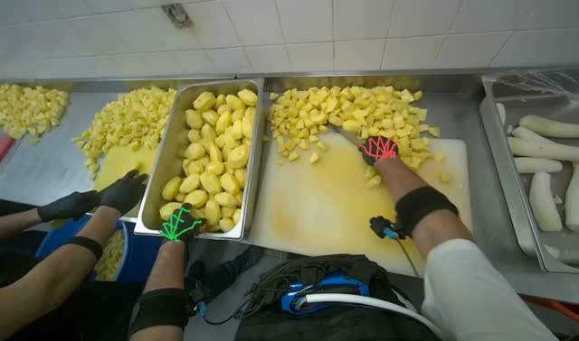 Chopping Potatoes: egocentric robotics sample