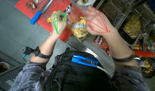 Loading fries into deep fryer: egocentric robotics sample