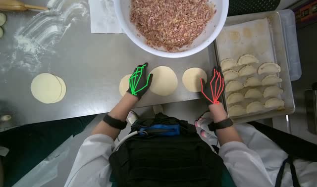 Rolling and arranging dough circles: egocentric robotics sample
