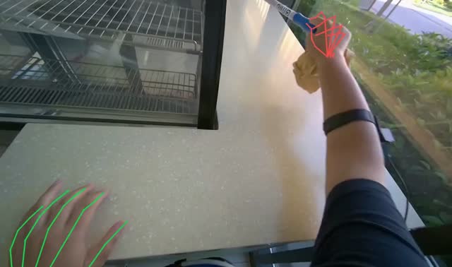 Cleaning a counter surface: egocentric robotics sample