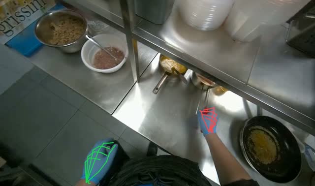 Peeling carrots and performing other tasks: egocentric robotics sample