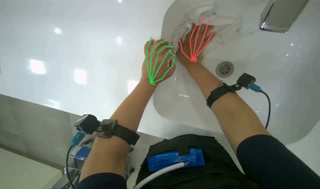 Rinsing cleaning cloth: egocentric robotics sample