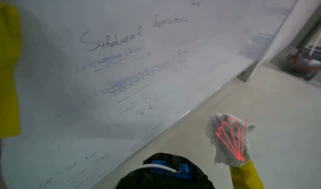 Wiping whiteboard surface: egocentric robotics sample