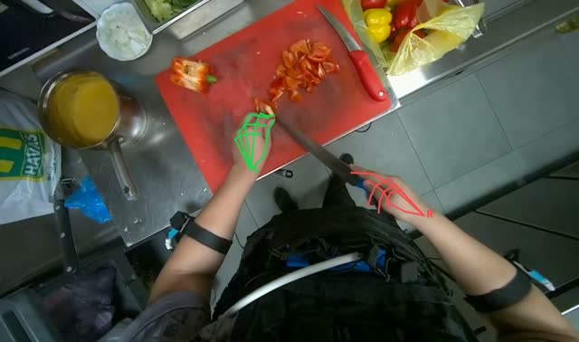 Chopping red bell peppers: egocentric robotics sample
