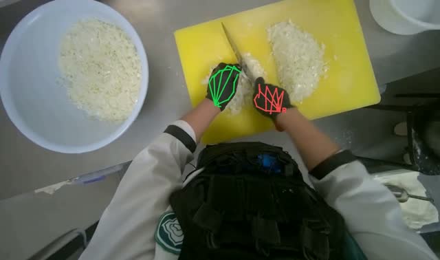 Chopping onions: egocentric robotics sample