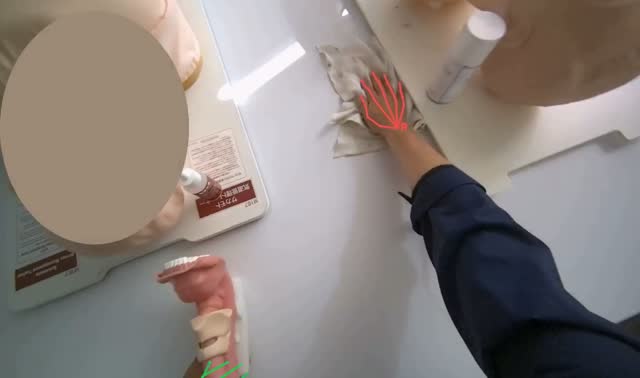 Wiping tables and mannequins: egocentric robotics sample