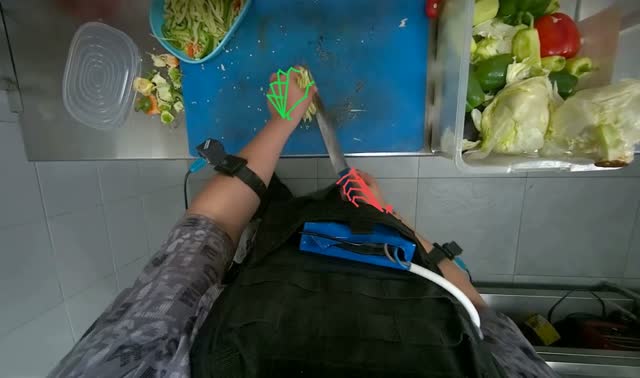 Preparing and storing green vegetable: egocentric robotics sample