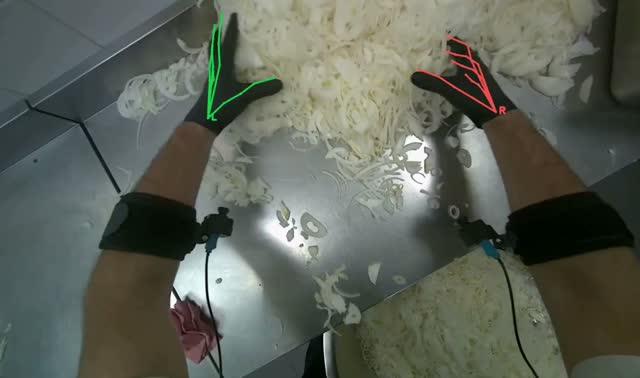Transferring sliced onions into bowl: egocentric robotics sample