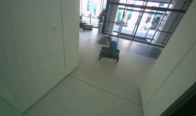 Sweeping hallway floor: egocentric robotics sample