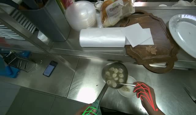 Serving dumplings into bowl: egocentric robotics sample