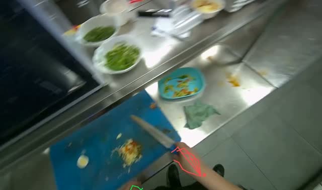Preparing ingredients and cooking: egocentric robotics sample