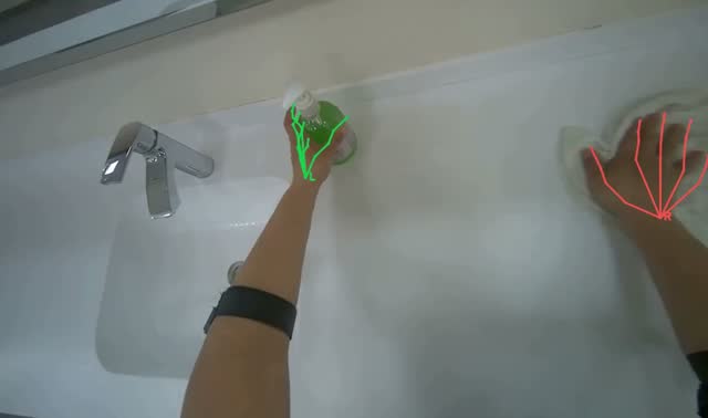 Cleaning bathroom sinks and countertops: egocentric robotics sample