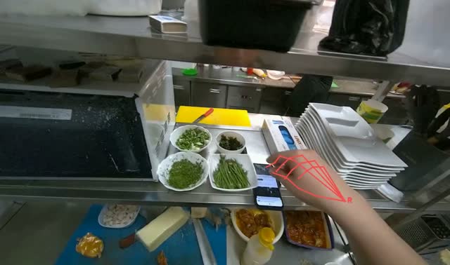 Garnishing and placing noodle bowl: egocentric robotics sample