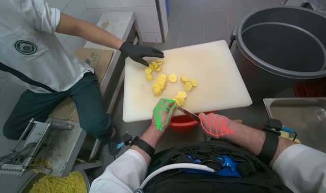 Slicing potatoes on cutting board: egocentric robotics sample