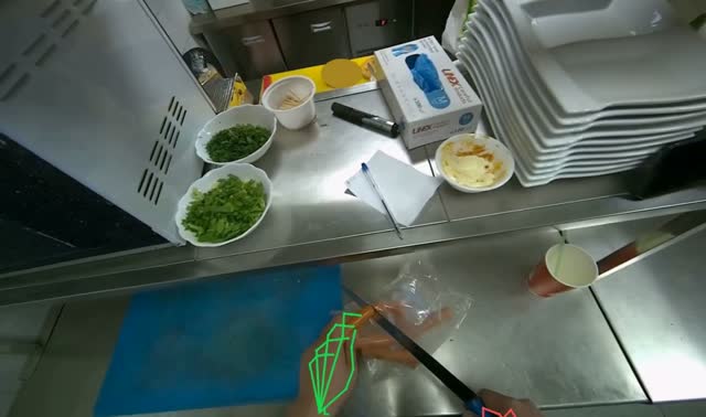 Cutting sausages on board: egocentric robotics sample