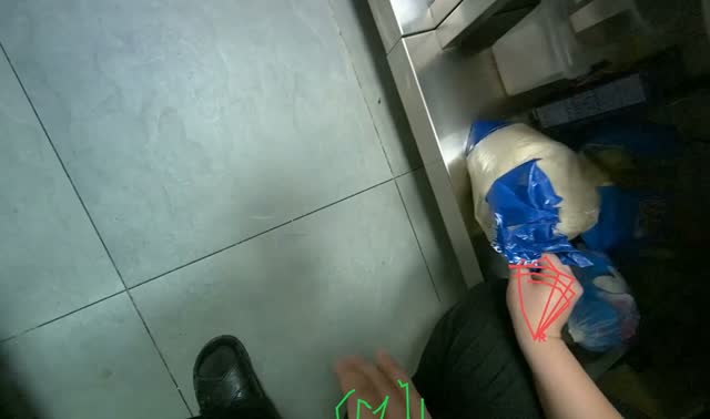 Retrieving bag of rice: egocentric robotics sample