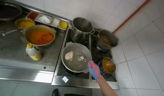 Adding water to stove and seasoning meal with spices: egocentric robotics sample
