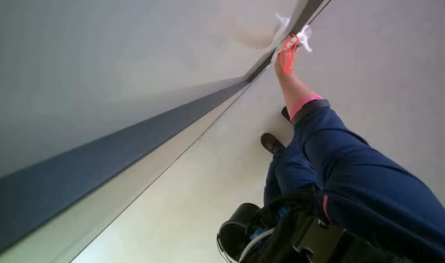 Wiping door panels: egocentric robotics sample