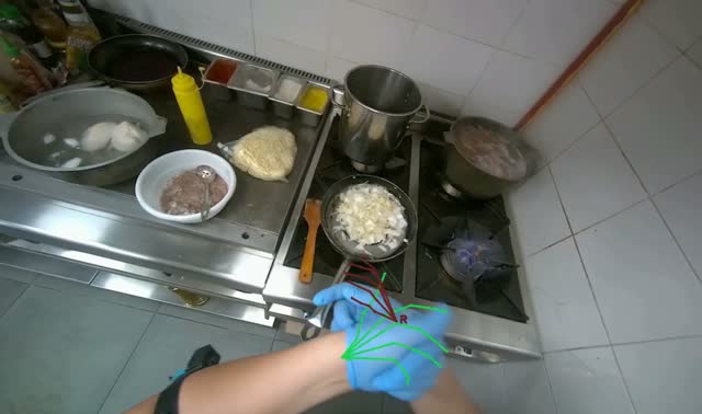 Stirring onions and garlic in pan: egocentric robotics sample