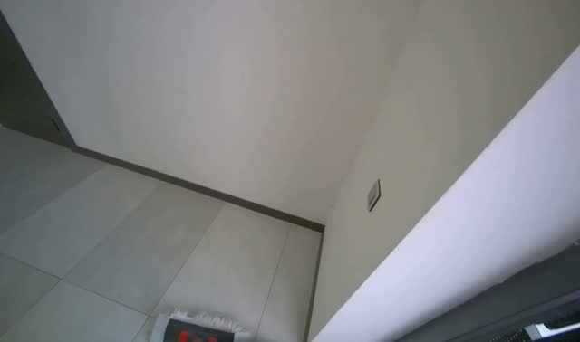 Mopping hallway floor: egocentric robotics sample