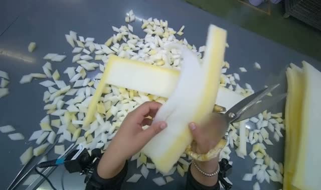 Cutting foam into diamond shapes: egocentric robotics sample