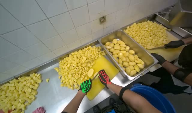 Cutting potatoes into pieces: egocentric robotics sample
