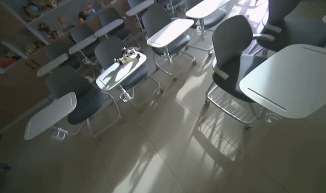Arranging chairs in room: egocentric robotics sample