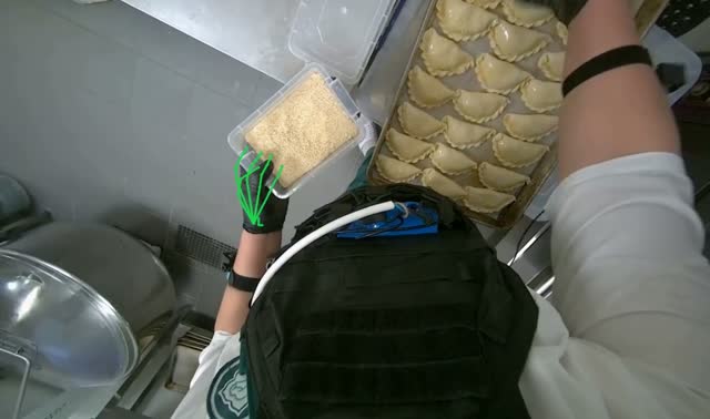Sprinkling sesame seeds on dumplings: egocentric robotics sample
